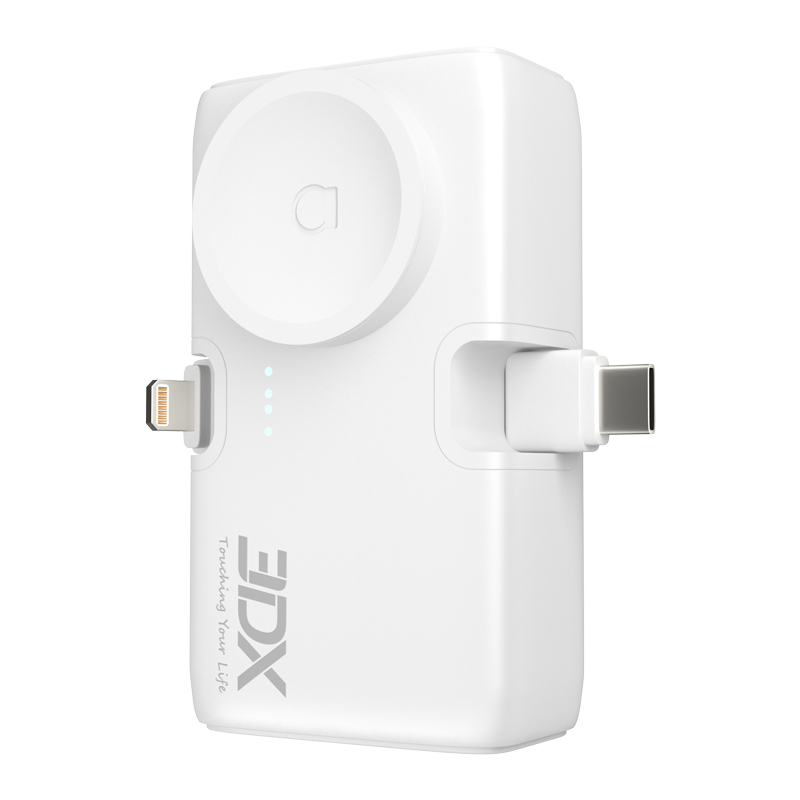 Dual port charging power bank
